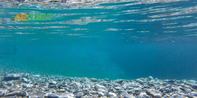 AE3BET.NET giải mộng: Những con số liên quan đến giấc mơ thấy nước